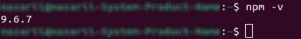 Command for checking the NPM version
